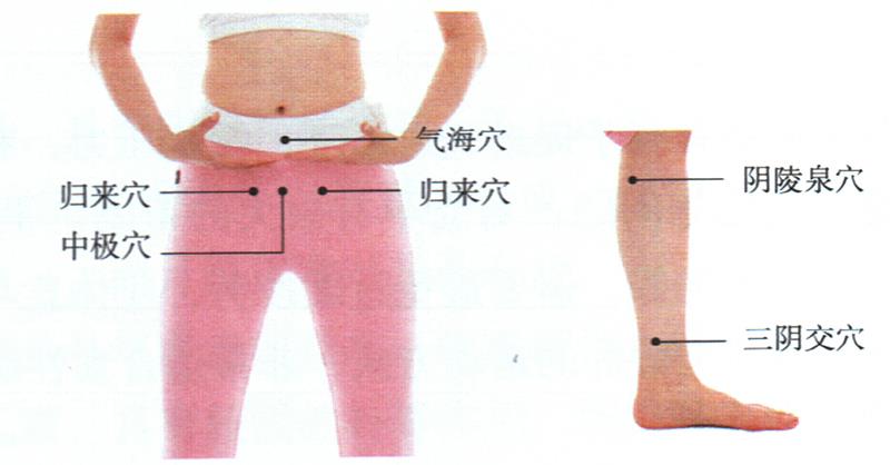 按摩歸來穴、中極穴等，健脾調(diào)經(jīng)更助孕